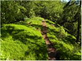 Trnovec - Gontarska planina